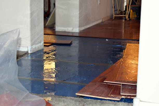Professional Water Damage Repair technician working in Bay Center, WA