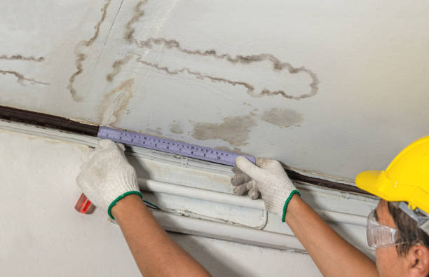 Reliable Water Damage Repair contractor in Bay Center, WA by Hirex Water Damage